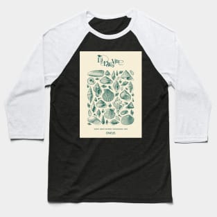 Oneus La Dolce Vita - Shells Baseball T-Shirt